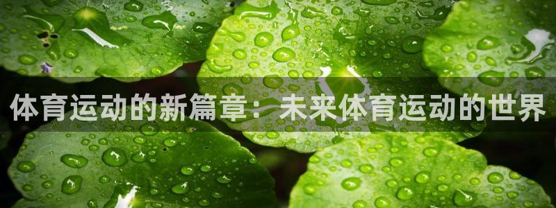 意昂新能源汽车科技有限公司：体育运动的新篇章：未来体育运动的世界