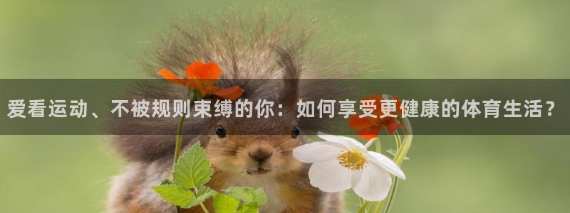 哈希娱乐体育平台注册：爱看运动、不被规则束缚的你：如何享受更健康的体育生活？
