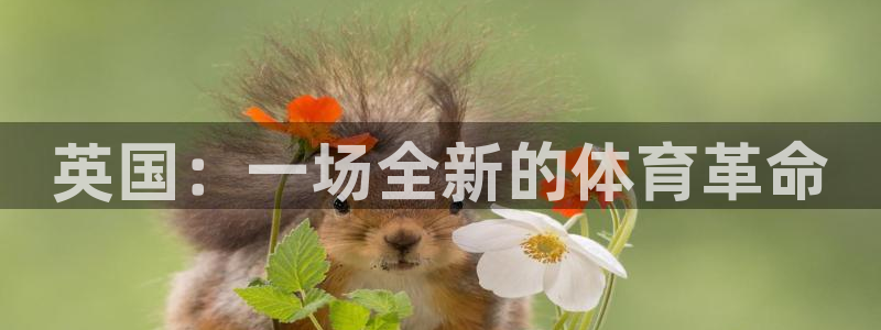 哈希娱乐体育平台注册：英国：一场全新的体育革命