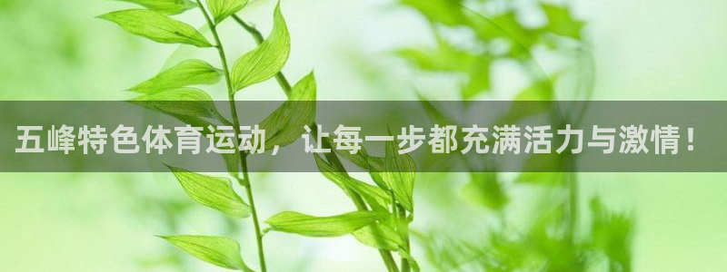 哈希娱乐平台注册入口：五峰特色体育运动，让每一步都充满活力与激情！