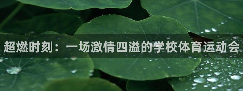 哈希娱乐2登录地址：超燃时刻：一场激情四溢的学校体育运动会