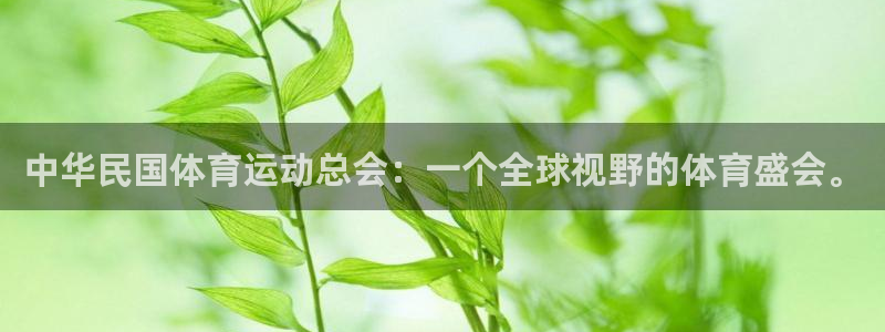 哈希娱乐体育1招商：中华民国体育运动总会：一个全球视野的体育盛会。