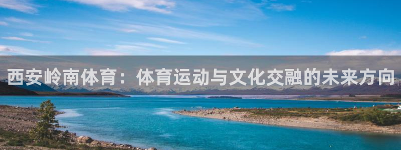 意昂3官网登录：西安岭南体育：体育运动与文化交融的未来方向
