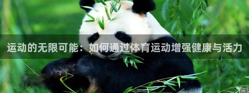 意昂4官网：运动的无限可能：如何通过体育运动增强健康与活力