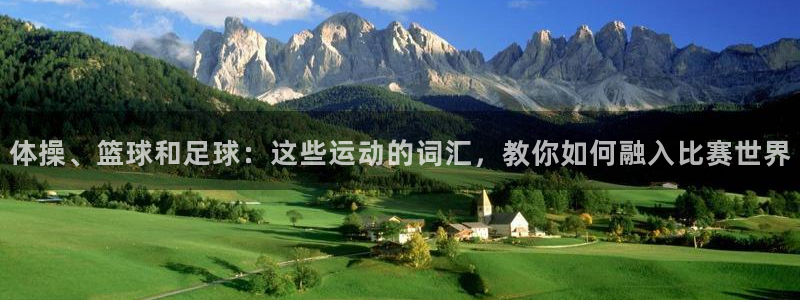哈希娱乐体育平台开号链接：体操、篮球和足球：这些运动的词汇，教你如何融入比赛世界