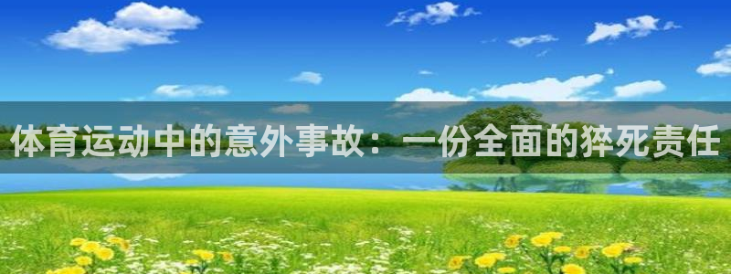 哈希娱乐4开户：体育运动中的意外事故：一份全面的猝死责任