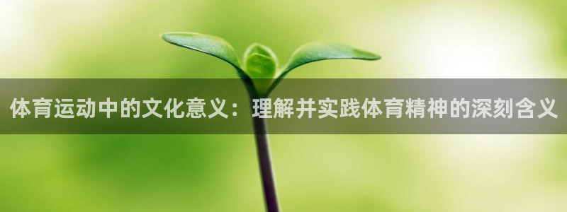 意昂集团：体育运动中的文化意义：理解并实践体育精神的深刻含义
