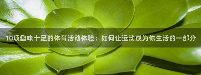 哈希娱乐代理：10项趣味十足的体育活动体验：如何让运动成为你生活的一部分